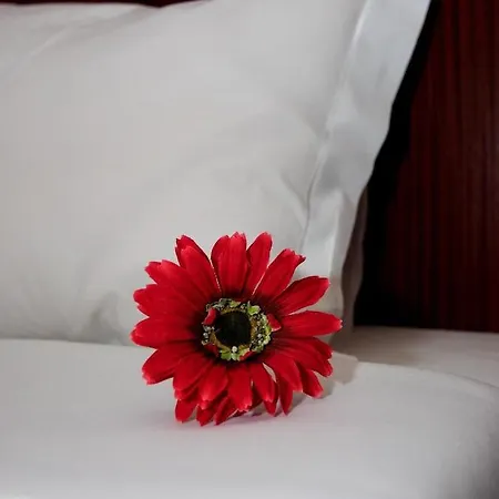 Hotell Galeria Aveiro
